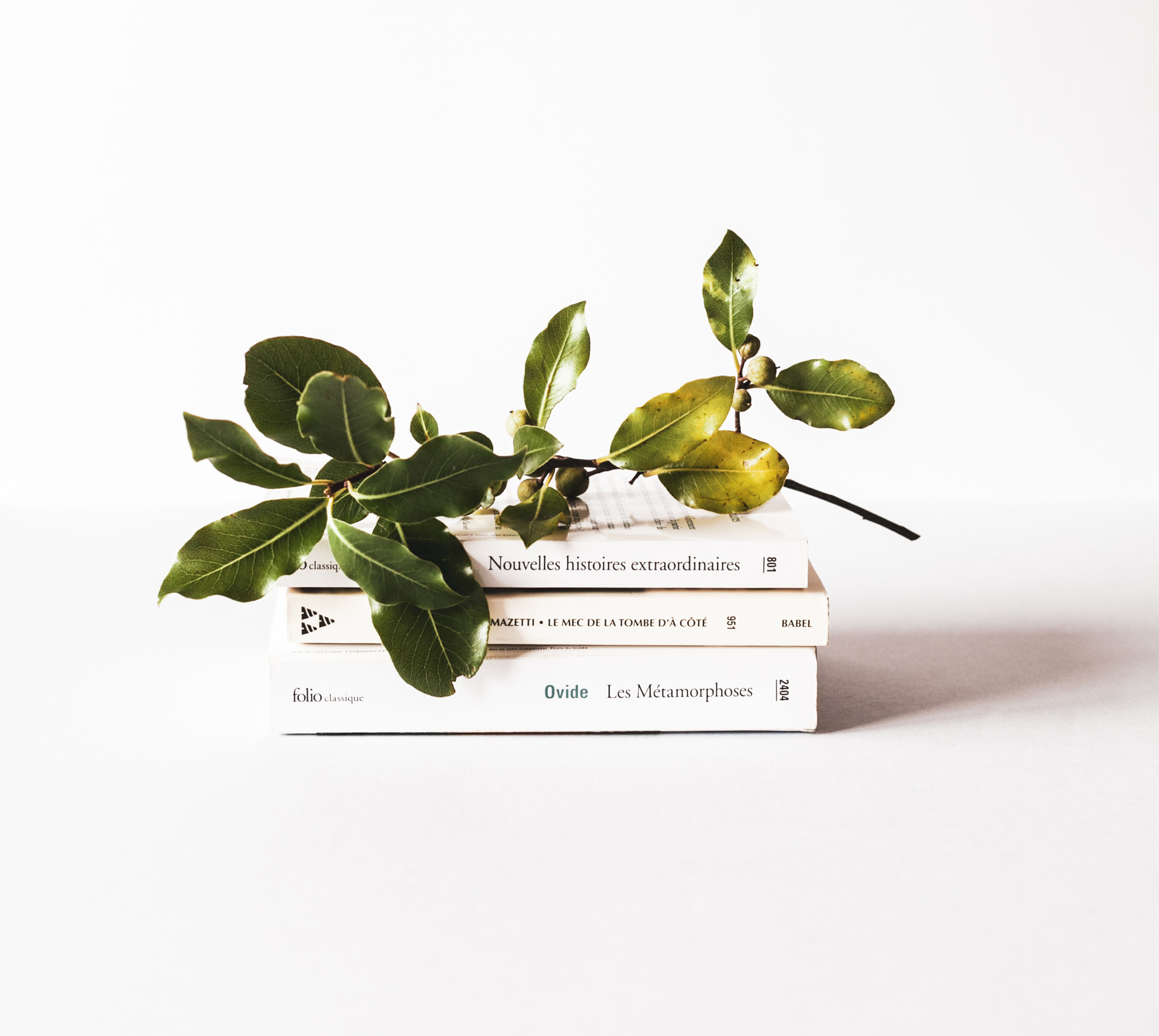 alex-loup-2zDw14yCYqk-unsplash